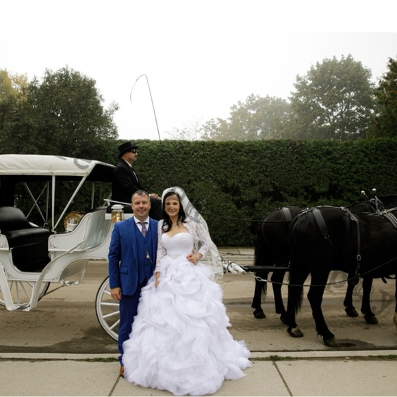 Meet your Posher, Tammy - Picture 7 of 10